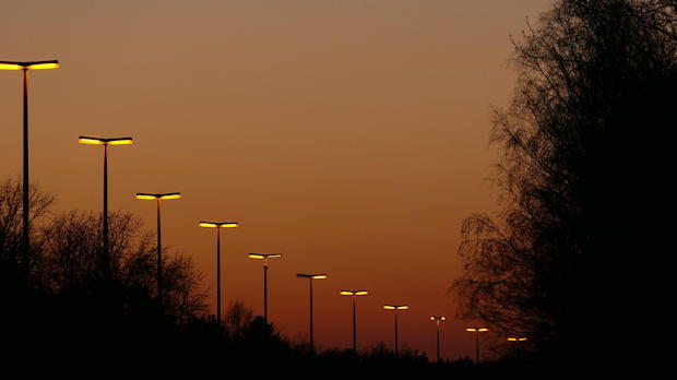 Straatverlichting bij zonsondergang die een grid vormt boven bomen en weg.