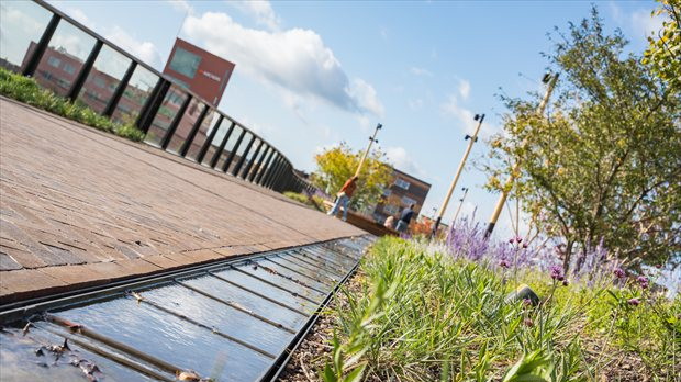 Passerelle Zwolle met watergoot en beplanting op houten brug