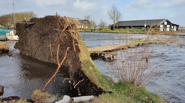 Omgevallen boom bij waterkant toont schade aan ondergrondse infrastructuur door storm en verzadigde grond.