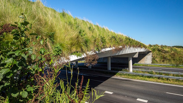 Groene infrastructuur langs viaduct als onderdeel van de maatschappelijke en economische baten van groen.