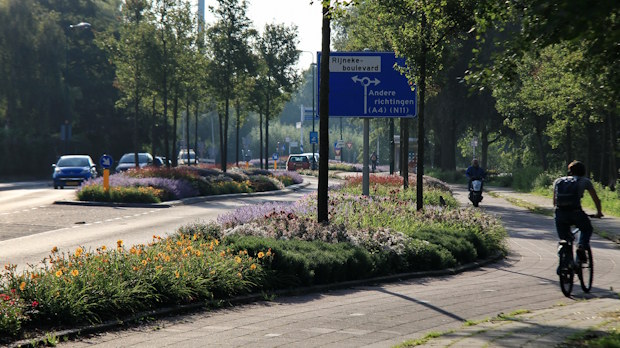 Vaste planten als verkeersgeleider binnen GWW-projecten onder de Omgevingswet en Natuurherstelverordening.
