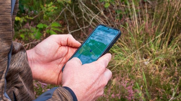 Persoon voert flora en faunacontrole uit met smartphone in natuurgebied met behulp van flora en faunacontrole app